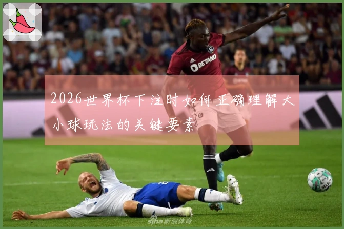 2026世界杯下注时如何正确理解大小球玩法的关键要素