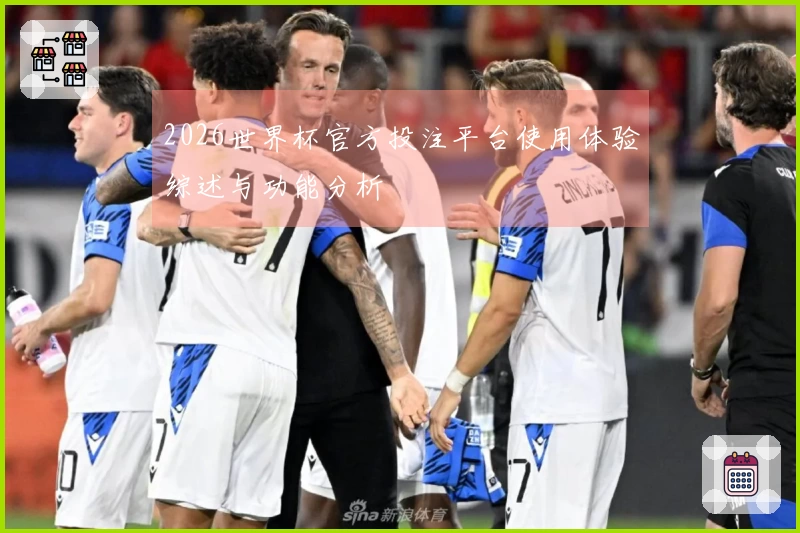 2026世界杯官方投注平台使用体验综述与功能分析
