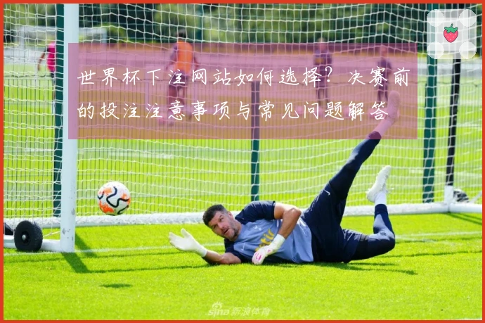世界杯下注网站如何选择？决赛前的投注注意事项与常见问题解答